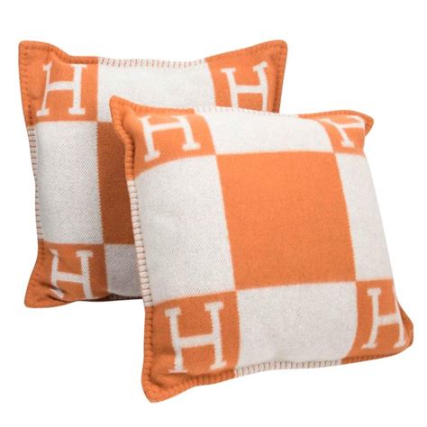 hermes cushion covers